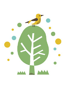 ���i ����q ��t